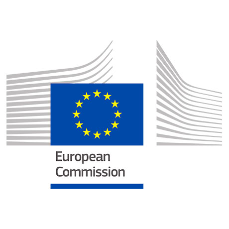 Recomandarea Comisiei Europene